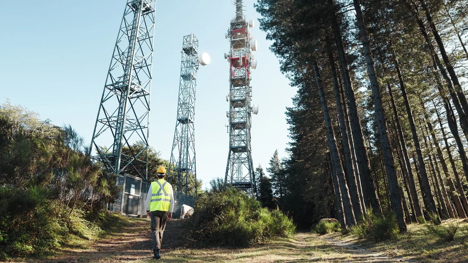 Zwiedzanie radiostacji: Historia telekomunikacji w Polsce